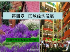 2019-2020学年人教版高中地理必修3课件：4.2 区域工业化与城市化(共42张PPT)