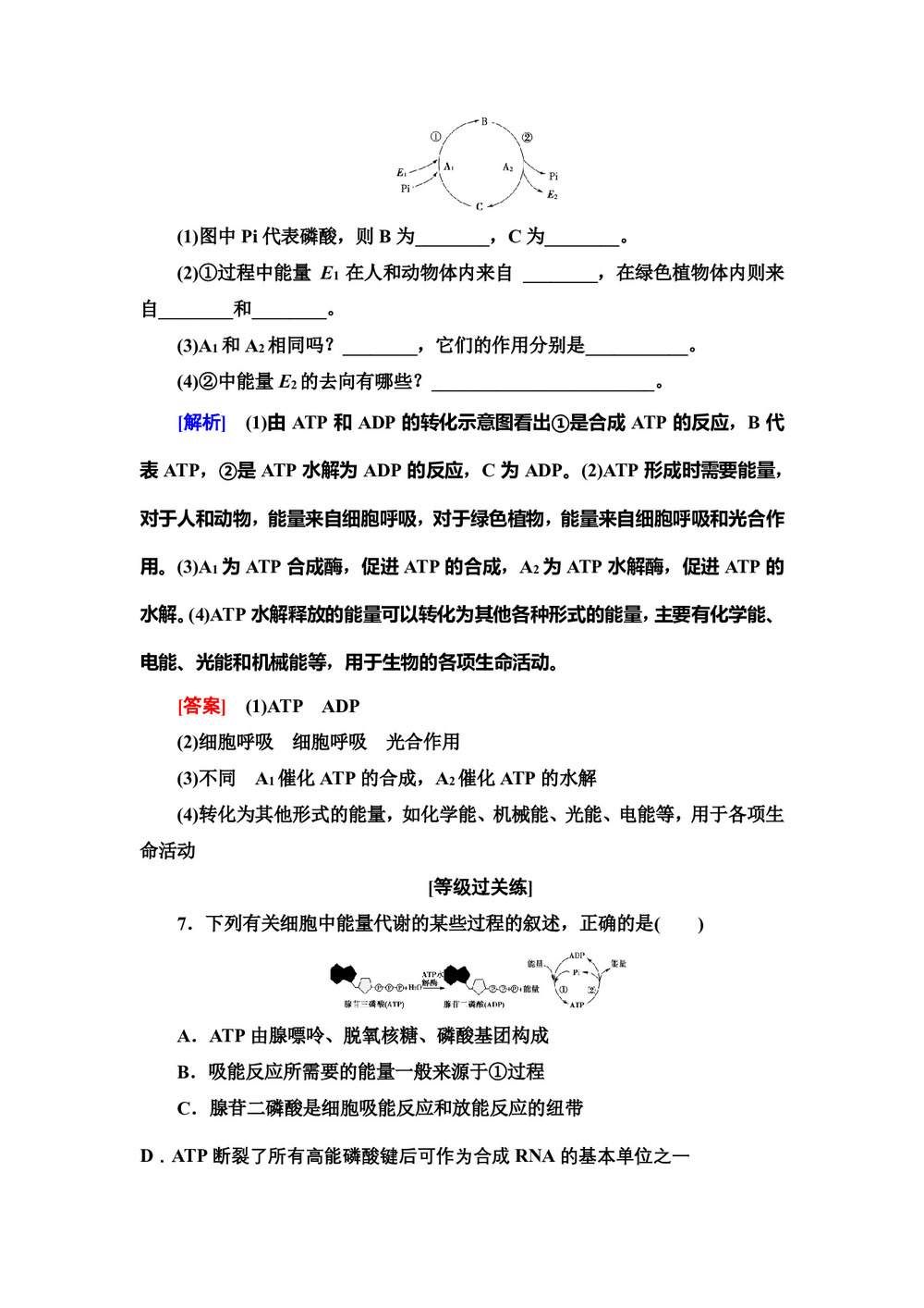 2019-2020学年 苏教版 必修一 生命活动的能量“通货”——ATP  作业第3页