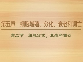 2019-2020学年 苏教版  必修一 细胞分化、衰老和凋亡 课件  (61张)