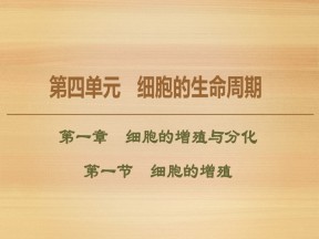2019-2020学年 中图版 必修1 细胞的增殖（83张） 课件
