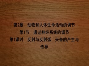 2019-2020学年   人教版 必修3 反射与反射弧　兴奋的产生与传导  (35张） 课件