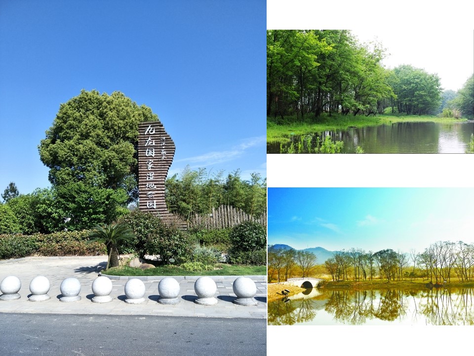 2019-2020学年湘教版高中地理必修3课件：2.2湿地资源开发与保护(共35张PPT)第3页