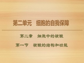 2019-2020学年 中图版 必修1 　核酸的结构和功能（41张） 课件