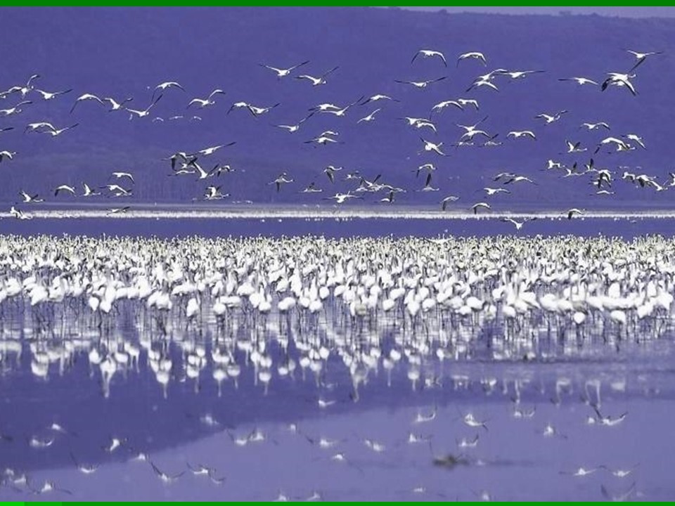 2019-2020学年湘教版高中地理必修3课件：2.2湿地资源的开发与保护——以洞庭湖区为例课件 (共43张PPT)第3页