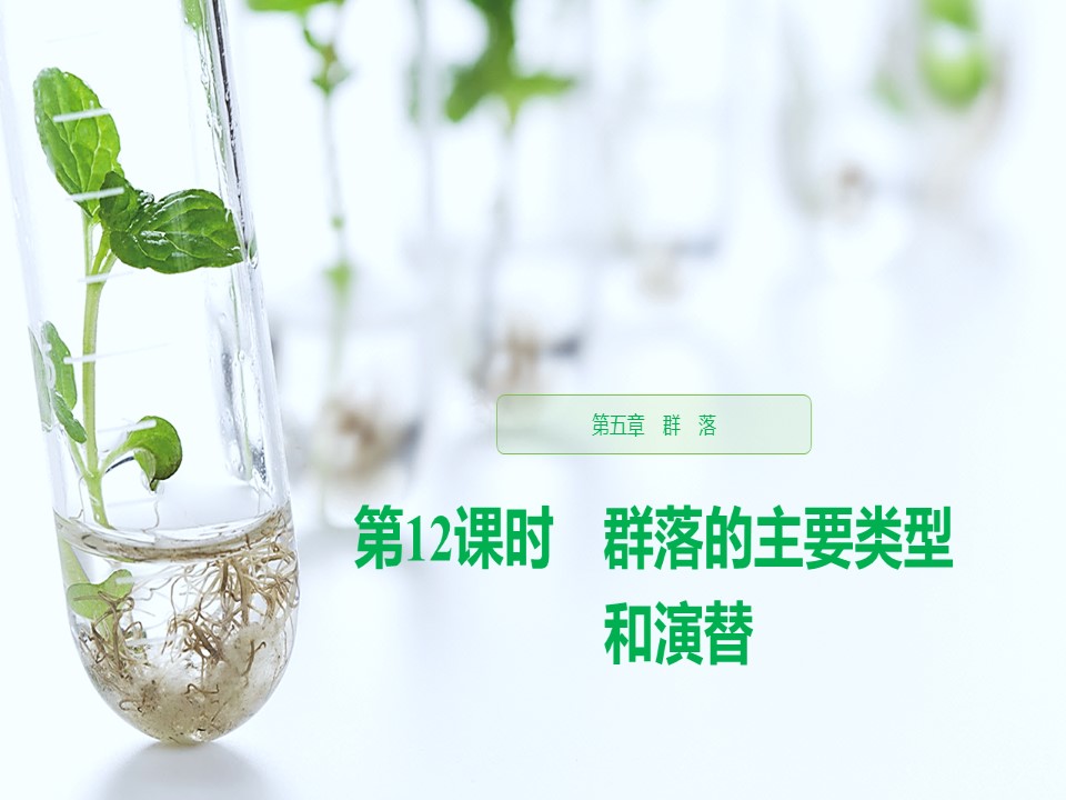 2019-2020学年 浙科版 必修3 群落的主要类型和演替  课件 (33张)第1页