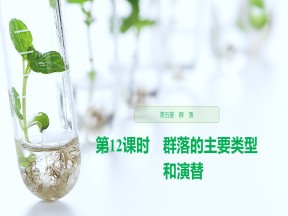 2019-2020学年 浙科版 必修3 群落的主要类型和演替  课件 (33张)