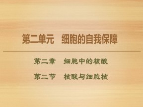 2019-2020学年 中图版 必修1 核酸与细胞核（41张） 课件