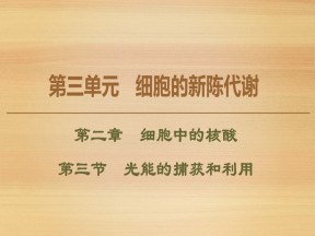 2019-2020学年 中图版 必修1 光能的捕获和利用（107张） 课件