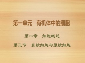 2019-2020学年 中图版 必修1 真核细胞与原核细胞（41张） 课件