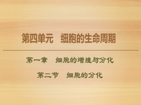 2019-2020学年 中图版 必修1 细胞的分化（45张） 课件