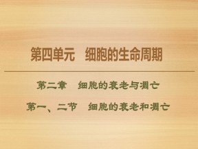 2019-2020学年 中图版 必修1 细胞的衰老和凋亡（49张） 课件