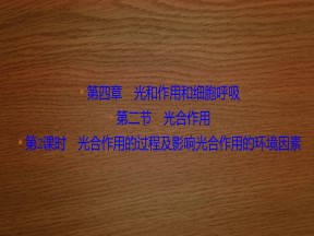 2019-2020学年 苏教版 必修一 光合作用的过程及影响光合作用的环境因素   (52张)课件