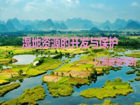 2019-2020学年湘教版高中地理必修3课件：2.2湿地资源的开发与保护——以洞庭湖区为例  课件（共44张PPT）