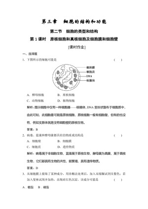 2019-2020学年 苏教版 必修一  原核细胞和真核细胞及细胞膜和细胞壁 作业