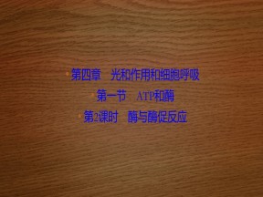2019-2020学年 苏教版 必修一  酶与酶促反应   (56张)课件