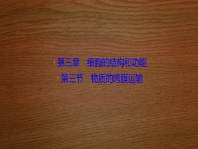 2019-2020学年 苏教版 必修一 物质的跨膜运输  (62张)课件