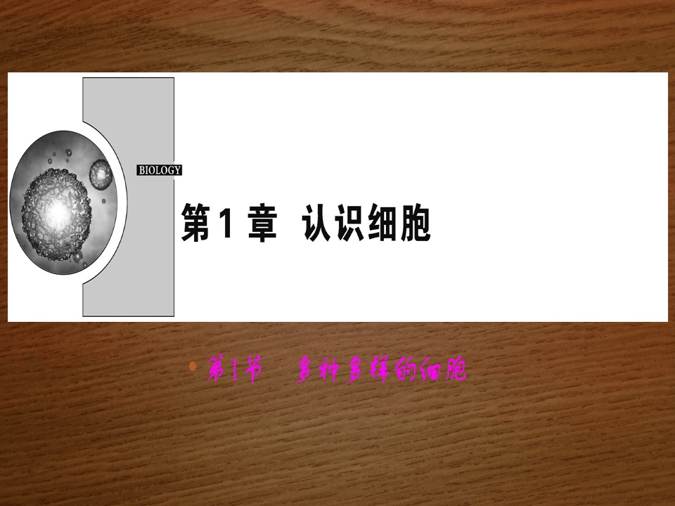 2019-2020学年 北师大版 选修1多种多样的细胞（43张） 课件第1页