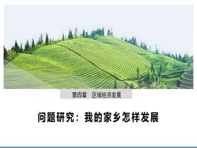 2019-2020学年人教版高中地理必修3课件：问题研究 我的家乡怎样发展 (共23张PPT)