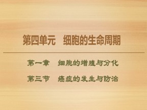 2019-2020学年 中图版 必修1 癌症的发生与防治（39张） 课件