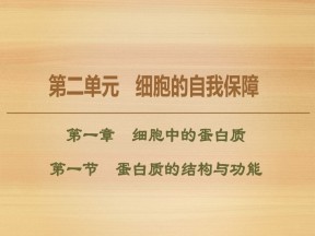 2019-2020学年 中图版 必修1 蛋白质的结构与功能（47张） 课件