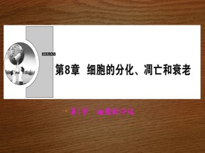2019-2020学年 北师大版 必修一  细胞的分化  课件 (30张)