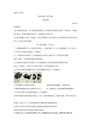 《302edu发布》山东省枣庄市部分重点高中2020届高三上学期定时训练 生物 Word版含答案