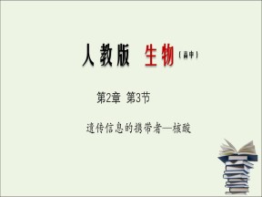 2019-2020学年  人教版必修1 遗传信息的携带者-核酸  课件 （30张）