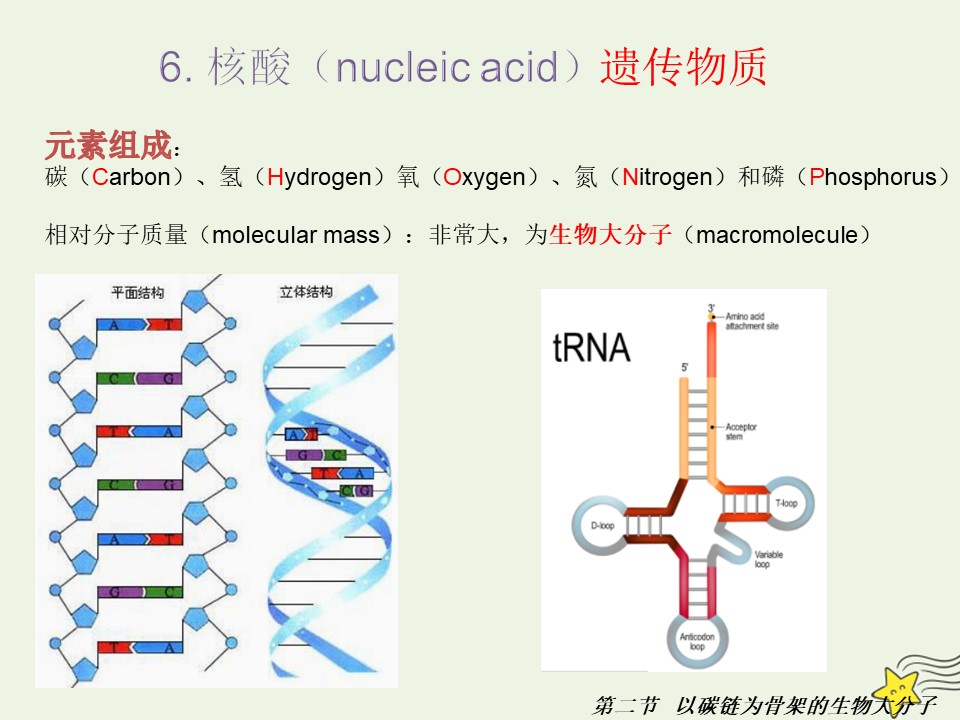 2019-2020学年   浙科版 必修1以碳链为骨架的生物大分子核酸  课件 （17张）第3页