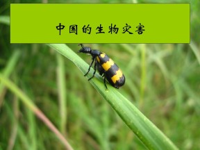 2019-2020学年中图版高中地理选修5课件：2.4中国的生物灾害 课件 （共23张PPT）