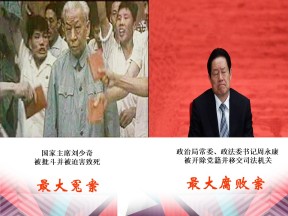 2019—2020学年岳麓版必修一第22课 社会主义政治建设的曲折发展[课件]