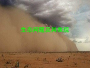 2019-2020学年鲁教版高中地理选修6课件：2.2《生态问题及其表现》课件 (共44张PPT)