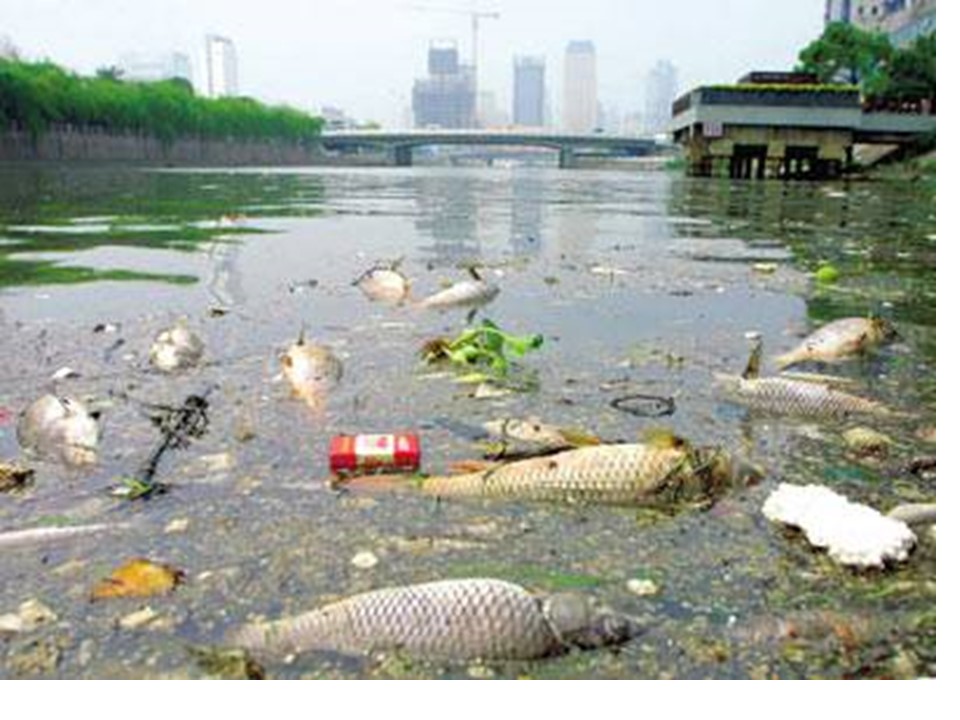 2019-2020学年湘教版高中地理选修6课件：4.1《水污染及其防治》 (共24张PPT)第3页