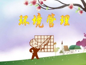 2019-2020学年鲁教版高中地理选修6课件：4.1《环境管理》课件 (共26张PPT)