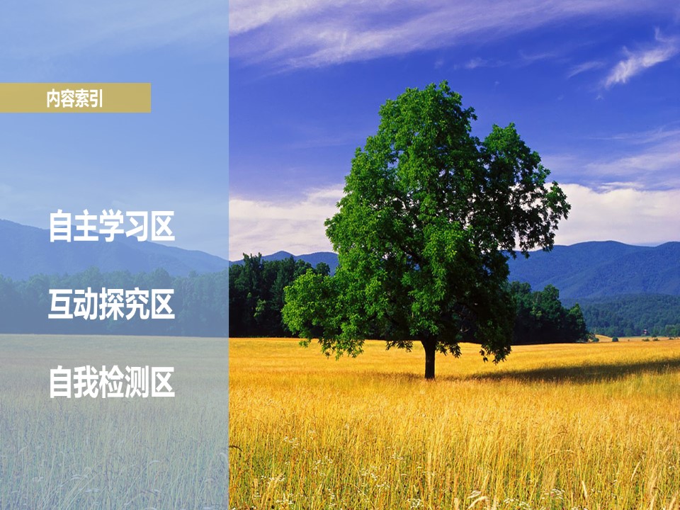 2019-2020学年中图版高中地理选修6课件：5.1环境管理及其实施 (共37张PPT)第3页