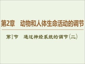 2019-2020学年   人教版 必修3 通过神经系统的调节二 (54张） 课件