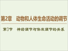 2019-2020学年   人教版 必修3 神经调节与体液调节的关系 (48张） 课件