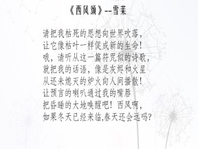 2019—2020学年人教版必修三第22课 文学的繁荣 课件（36张）