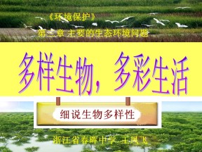 2019-2020学年湘教版高中地理选修6课件：3.2主要的生态环境问题(共20张PPT)