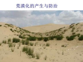 2019-2020学年中图版高中地理选修6课件：3.2《荒漠化的产生与防治》(共51张PPT)