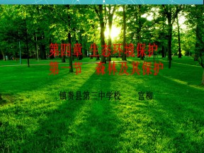 2019-2020学年人教版高中地理选修6课件：4.1森林及其保护教学课件  (共28张PPT)