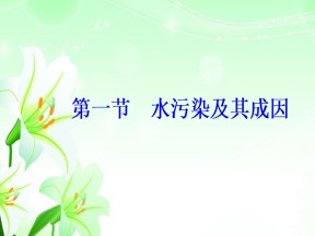 2019-2020学年人教版高中地理选修6课件：2.1水污染及其成因教学课件  (共22张PPT)