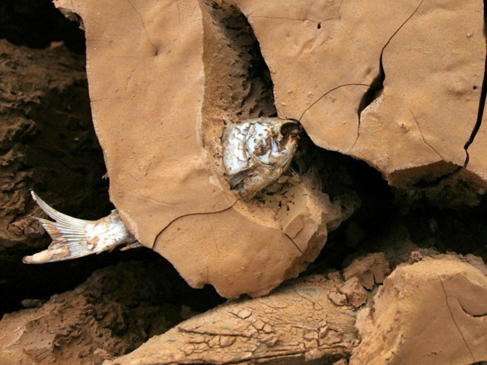 2019-2020学年人教版高中地理选修5课件：2.4《中国的气象灾害》课件(共112张PPT)第2页