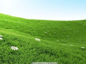 2019-2020学年人教版高中地理选修6课件：4.2草地退化及其防治(共22张PPT)