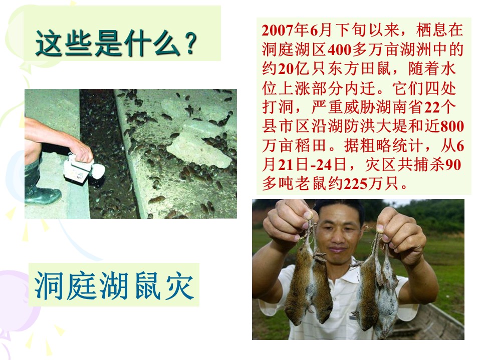 2019-2020学年人教版高中地理选修5课件：2.5《中国的生物灾害》教学课 (共28张PPT)第2页