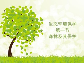 2019-2020学年人教版高中地理选修6课件：4.1森林及其保护教学课件(共26张PPT)