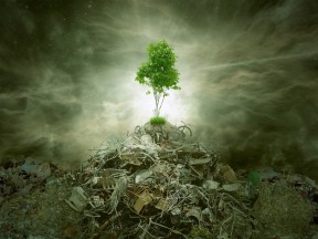 2019-2020学年人教版高中地理选修6课件：5.1认识环境管理教学课件 (共30张PPT)