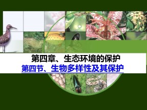 2019-2020学年人教版高中地理选修6课件：4.4生物多样性保护教学课件  (共45张PPT)