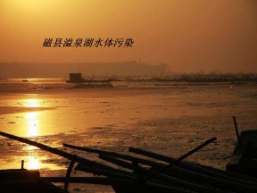 2019-2020学年人教版高中地理选修6课件：2.1水污染及其成因教学课件  (共25张PPT)