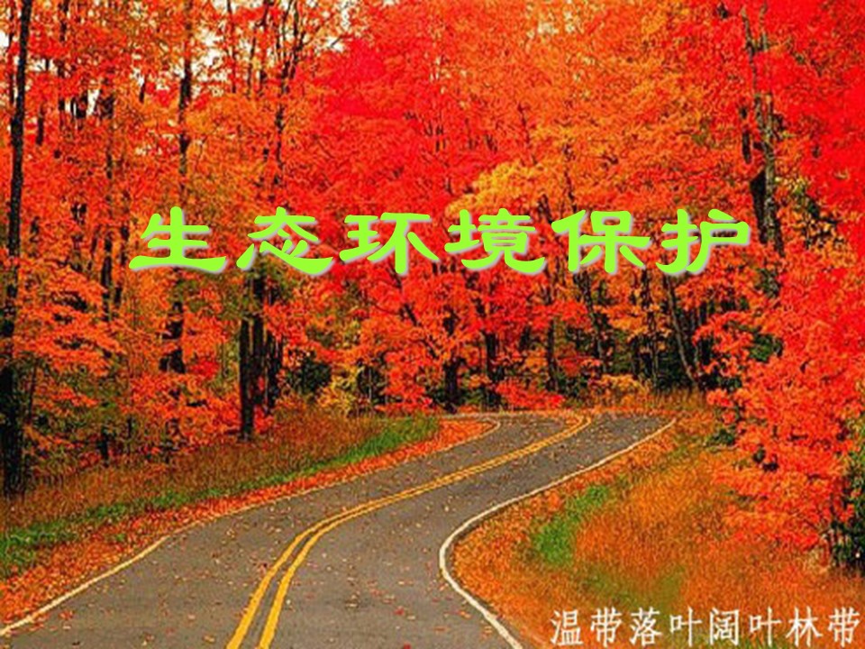 2019-2020学年人教版高中地理选修6课件：4.1森林及其保护教学课件 (共28张PPT)第1页