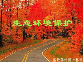 2019-2020学年人教版高中地理选修6课件：4.1森林及其保护教学课件 (共28张PPT)